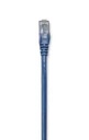 319874                                                                                                                                                                                                                                                                                               Cable Patch 7.6m Cat 5e Utp Azul -